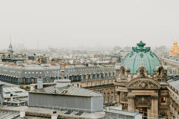 istock Aerial view of cloudy Paris with grey sky 1217785398