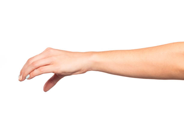 istock female hand isolated on white background showing hand gestures 1217788943