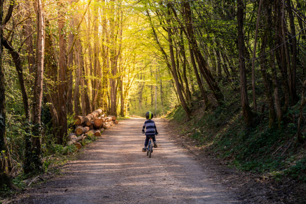 istock Little Boy MTB mountain biking in the Forest Rear View 1217790535