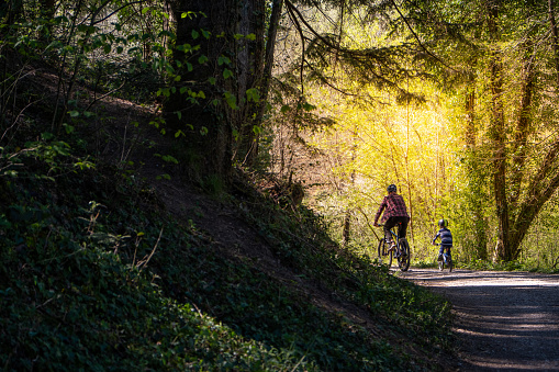 Father and Son MTB biking in the Forest