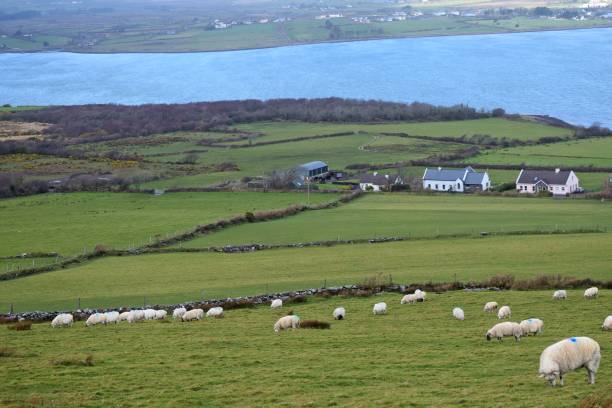 kerry - scenics county kerry republic of ireland irish culture stock-fotos und bilder