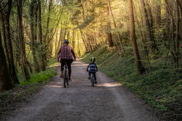 Father and Son MTB biking in the Forest