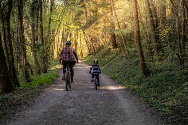 отец и сын mtb горный велосипед в лесу задний вид - cycling bicycle forest nature стоковые фото и изображения