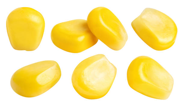 Collection of delicious corn seeds on white