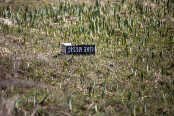 istock Plastic old battered sign advertising 'Live Music' blown into a field 1217802229