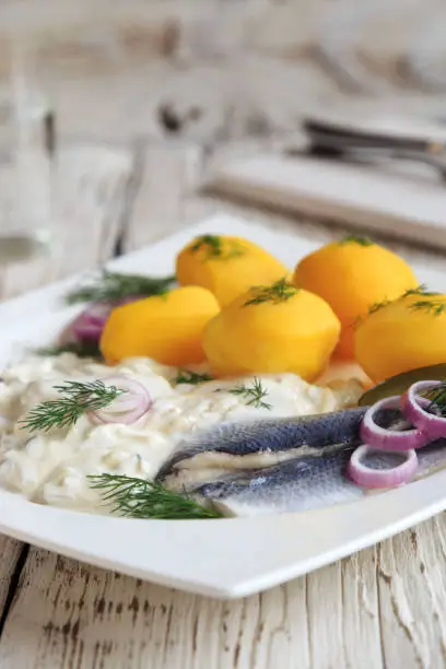 marinated herring in cream sauce