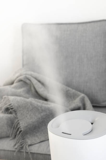 istock Working air ultrasonic humidifier 1217805743