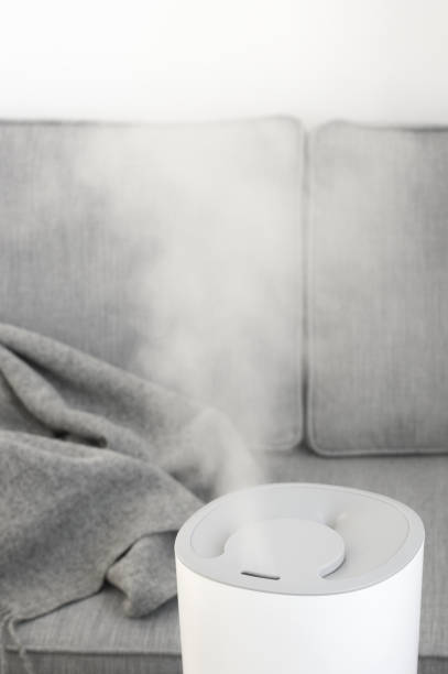 istock Working air ultrasonic humidifier 1217805746