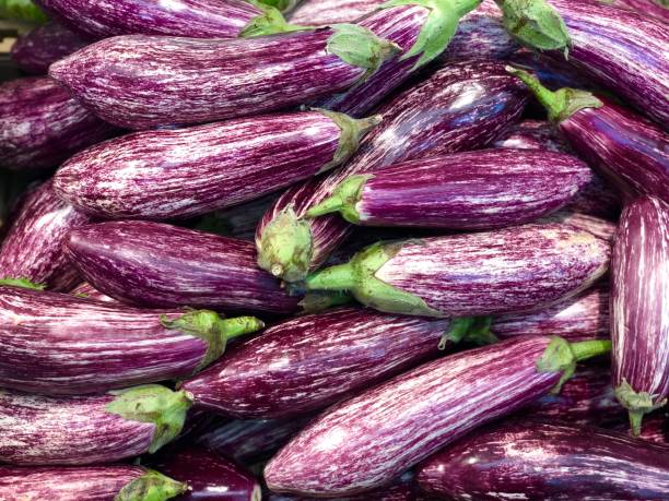 istock Eggplant vegetable a close view eggplant is considered an important vegetable 1217805866