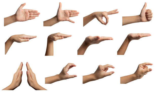 istock Isolated hand gestures and signals from Asian female child hand, multiple options. Includes clipping path. 1217807901