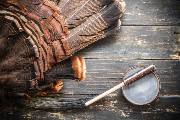 istock Eastern Wild Turkey Hunting Background 1217814809