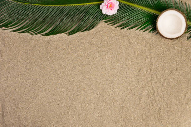 istock Summer vacation composition. Palm leaves anf flower on sand background 1217815996