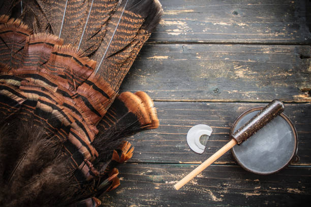 istock Eastern Wild Turkey Hunting Background 1217816517