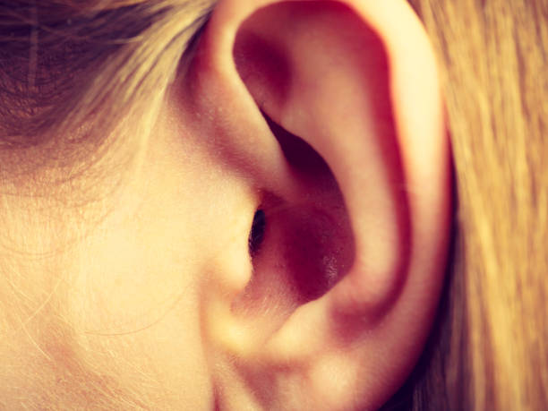 istock Close up of woman ear 1217817793