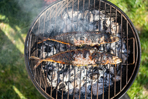 Mackerel  fish on barbecue
