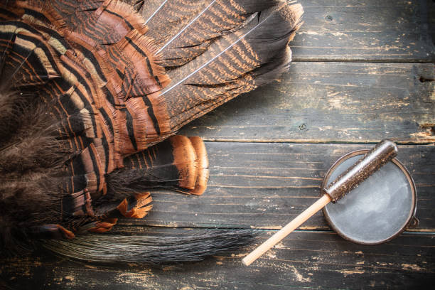 istock Eastern Wild Turkey Hunting Background 1217817971
