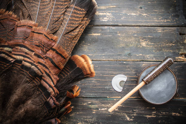 istock Eastern Wild Turkey Hunting Background 1217820157