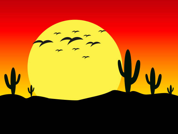 Sunset in the desert vector illustration Sunset in the desert vector illustration background phoenix arizona sun stock illustrations