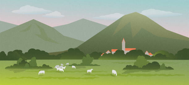berglandschaft mit schafen, die auf einer wiese weiden - lamb rural scene sheep field stock-grafiken, -clipart, -cartoons und -symbole
