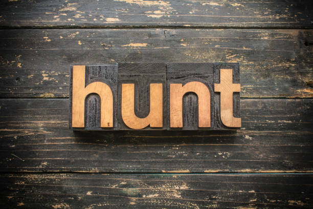 hunt concept vintage wooden letterpress type word - scavenger hunt photos et images de collection