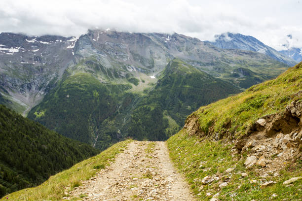 istock dirt road in Switzerland, green meadows and mountains 1217826965