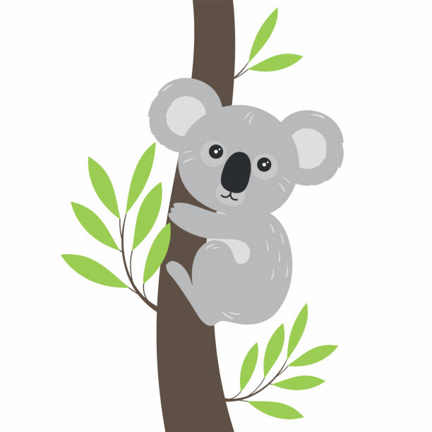 коала в плоском мультяшном стиле на белом фоне. - koala stock illustrations