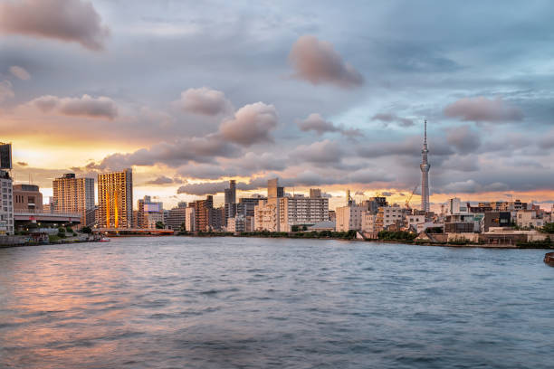 istock Summer Evening Cityscape at the Sumida River in Tokyo 1217827827