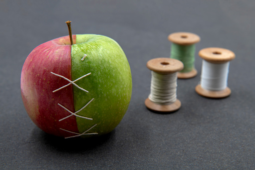 two half apples of different color sewn together with  thread spools on the background