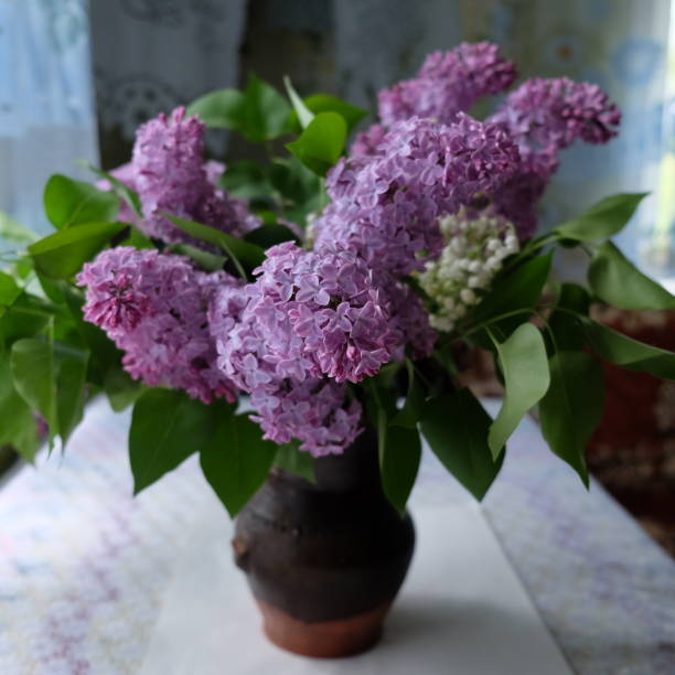 istock Lilac bouquet in a ceramic vase on the table. 1217829258