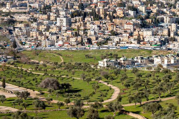 istock Arab Neighborhood in East Jerusalem & Olive Tree Park 1217830482
