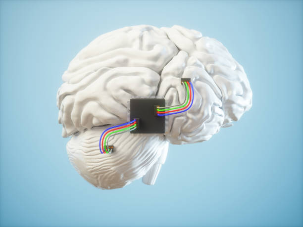 脳内に挿入されたチップ。人工知能の概念。 - 小脳 ストックフォトと画像