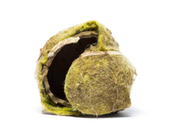 istock Chewed tennis ball against white background 1217831438