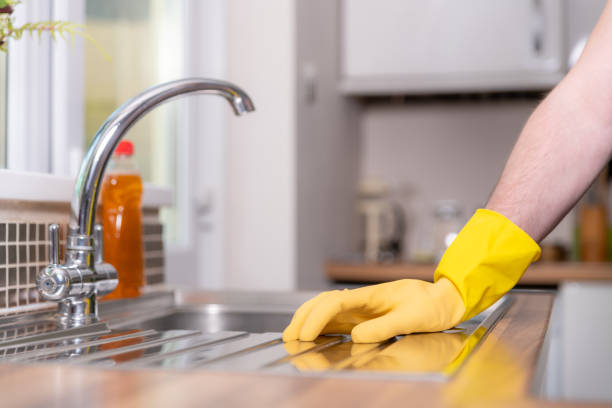 istock Wiping down the kitchen sink and draining board 1217832299