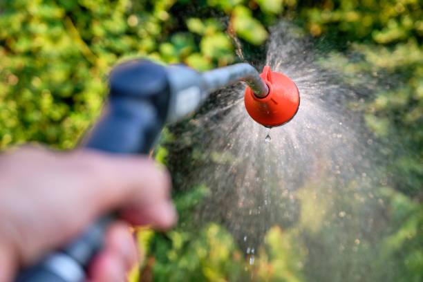Closeup of watering the garden with a garden shower stock photo