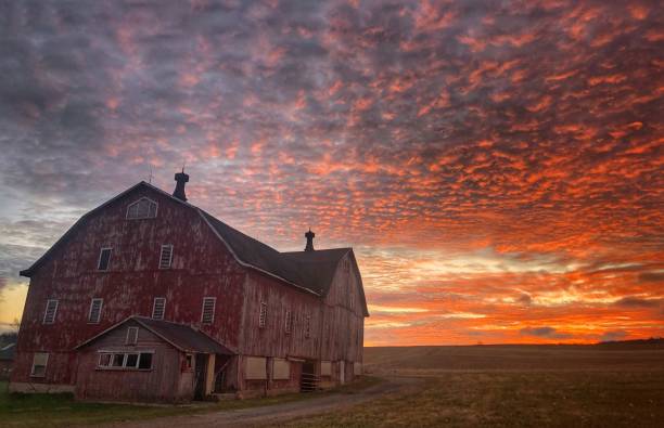 istock sunrise on the farm 1217836826