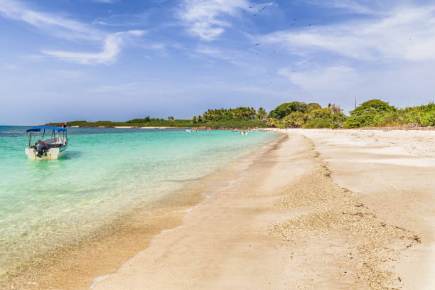 la playa en la isla de iguana ubicada en el océano pacífico de la costa de la península de azuero cerca de pedasi en panamá. - marine iguana fotografías e imágenes de stock