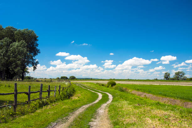 istock A dirt road through a green meadow, white clouds on a blue sky 1217843542
