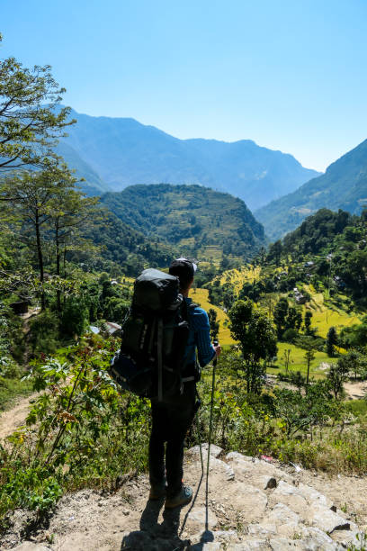 ghermu - un uomo che cammina lungo le risaie dell'himalaya - annapurna range foto e immagini stock