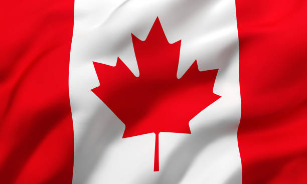 bandiera del canada che soffia nel vento - canadian flag immagine foto e immagini stock