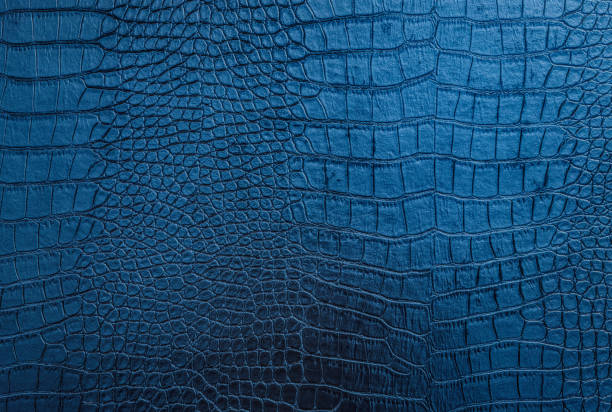 istock Vintage stylish crocodile skin texture 1217849493