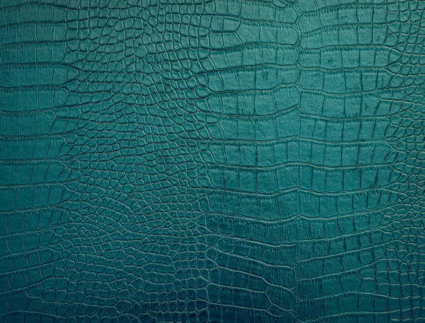 istock Vintage stylish crocodile skin texture 1217849549