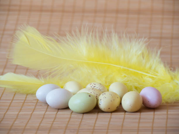 easter feather and eggs sweet stock photo