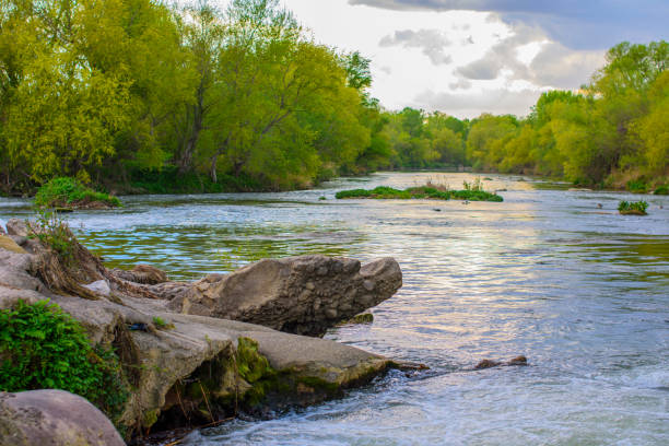 istock Image of a river with green trees on the shore 1217849658