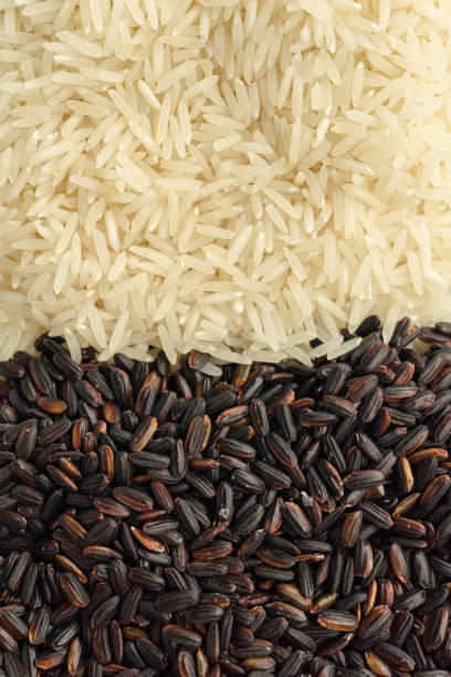istock Food background with two rice varieties. Black and white rice. 1217850326
