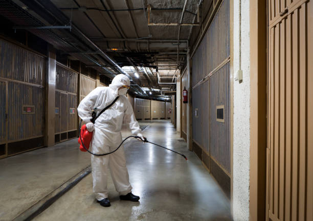 istock COVID-19 DISINFECTION 1217852643