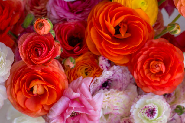 istock Background of colorful flowers. 1217853324