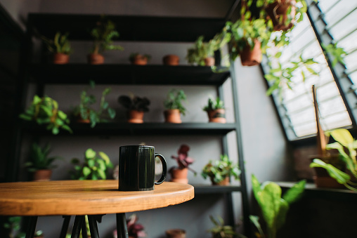 Environment friendly and relaxation place at office balcony with window and potted plant