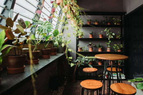 istock Environment friendly and relaxation place at office balcony with window and potted plant 1217853942