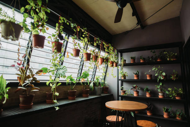 istock Environment friendly and relaxation place at office balcony with window and potted plant 1217853986