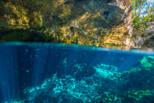 istock Scene of Centoe in Mexico 1217854391